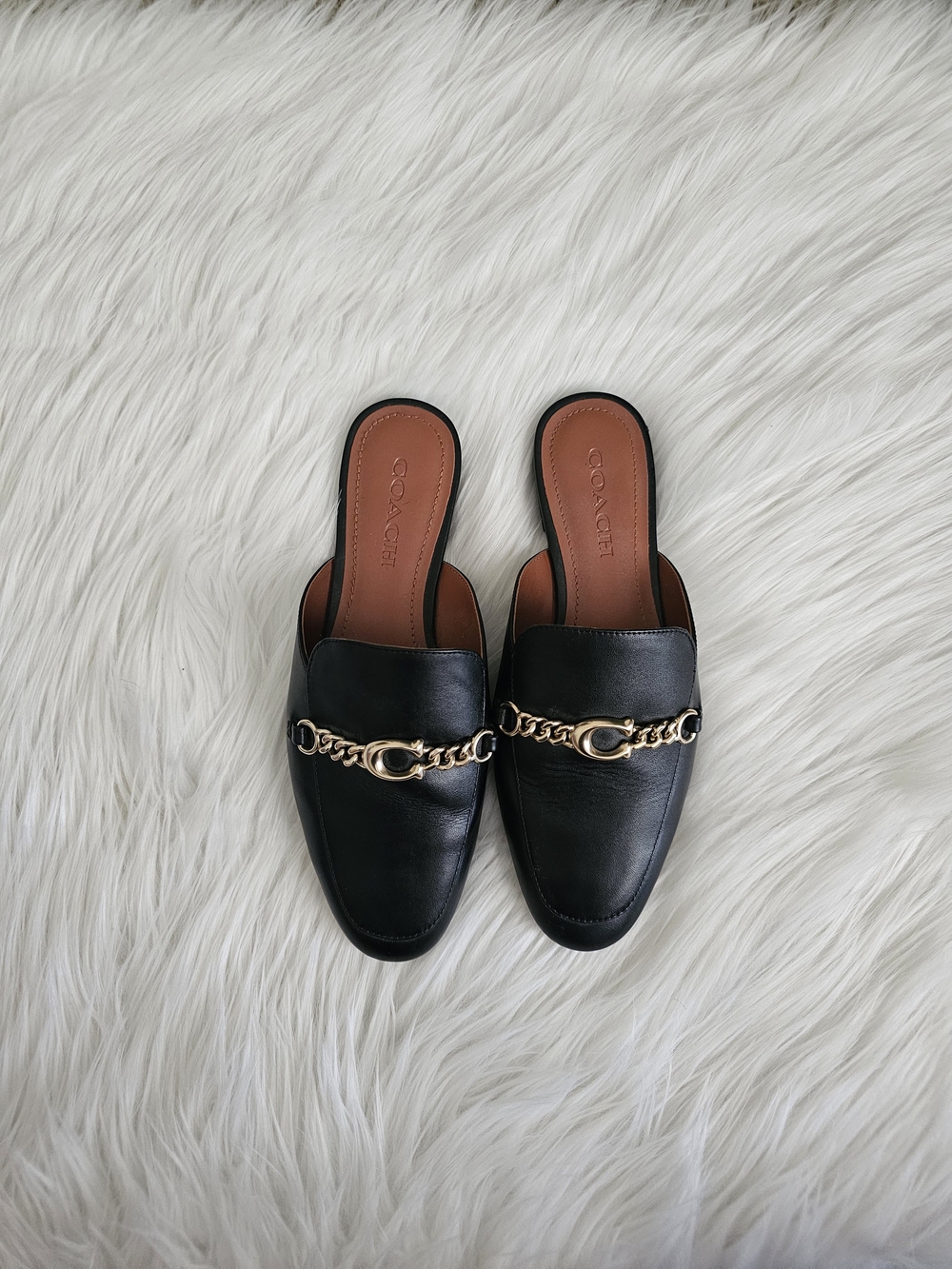 Coach Black Mule